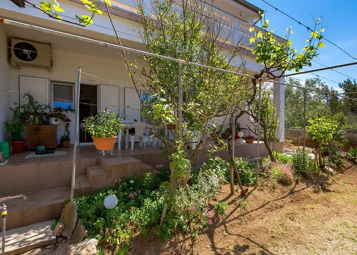 Barbat, Rab 1 Barbat na Rabu