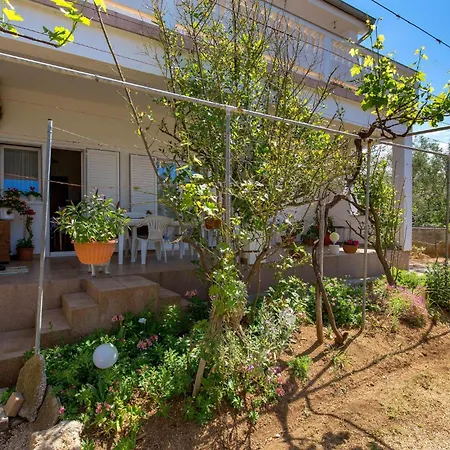 Barbat, Rab 1 Barbat na Rabu