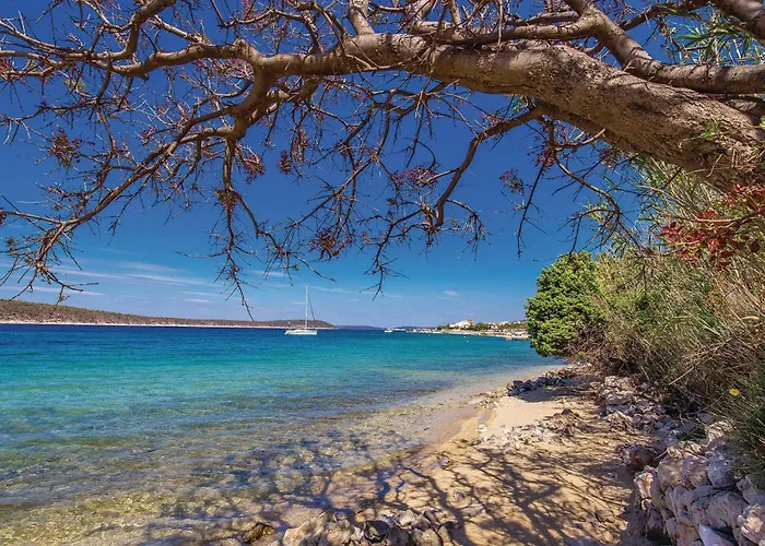 Barbat, Rab 1 *